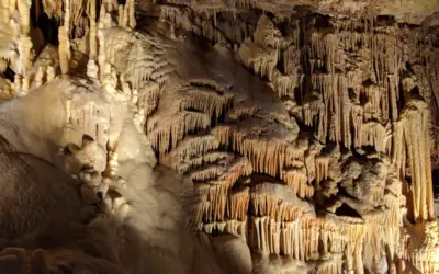 Exploring the Wonders of Natural Bridge Caverns in San Antonio Texas