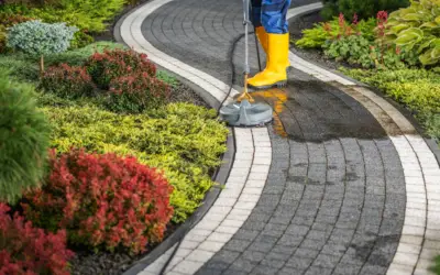 The Importance of Proper Concrete Maintenance: Tips for Longevity