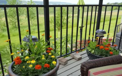 Maximizing Small Outdoor Spaces: Design Ideas for Cozy Decks and Patios