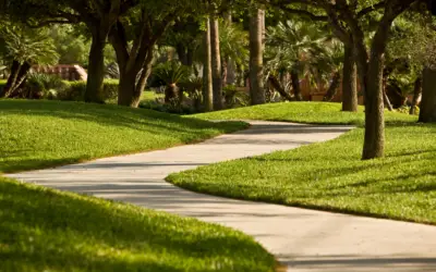 The Comprehensive Guide to Concrete Sidewalks: Design, Installation, and Maintenance